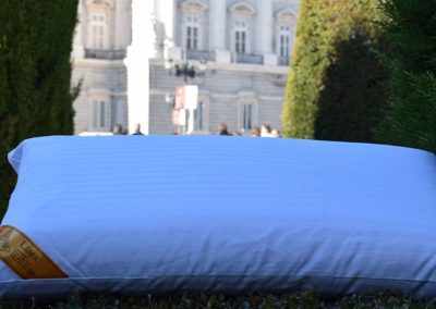 http://almohada-silis-latex-muebles-ardantzabide-altzariak